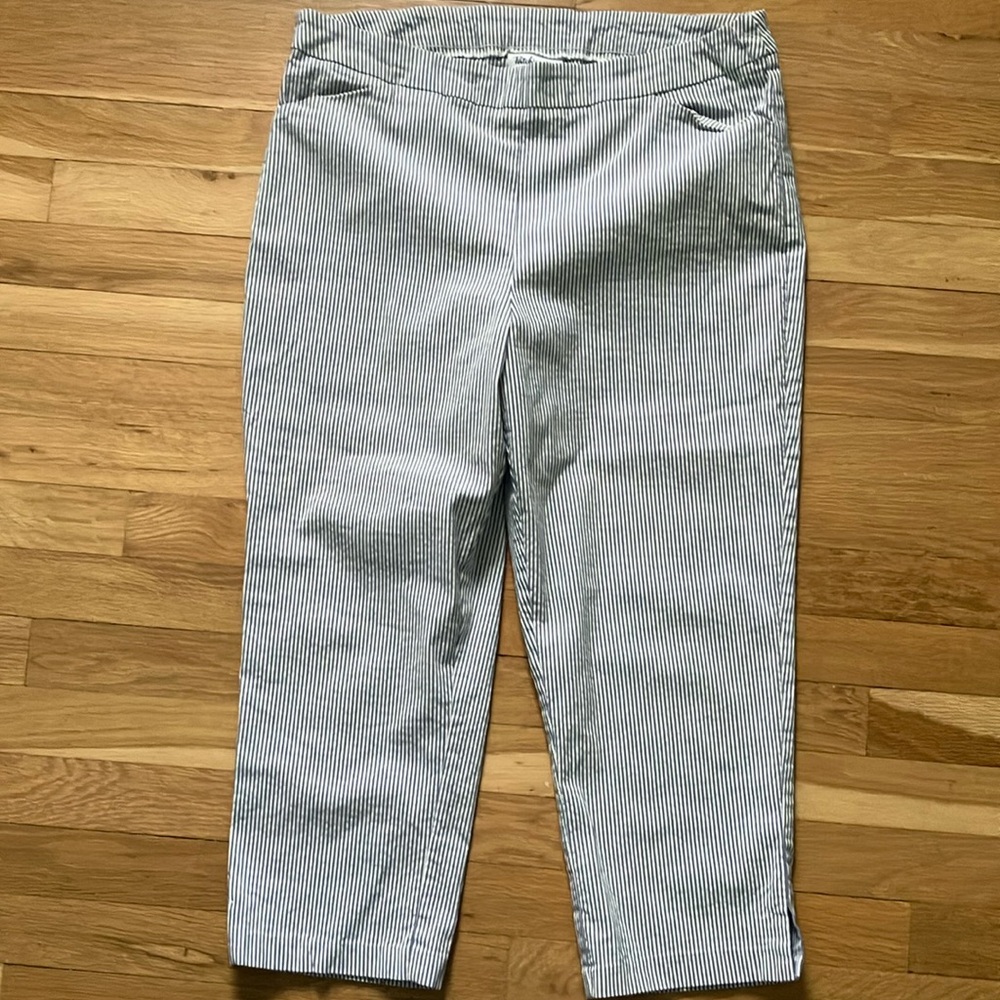 Patchington Blue and White Striped Capris sz14